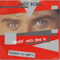 ANDY BORG - Waßt´wia des is